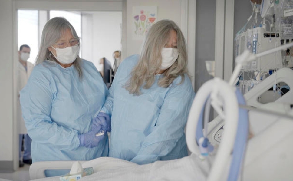 Почка свиньи работает в донорском организме 2 месяца, создавая надежду на пересадку от животного к человеку