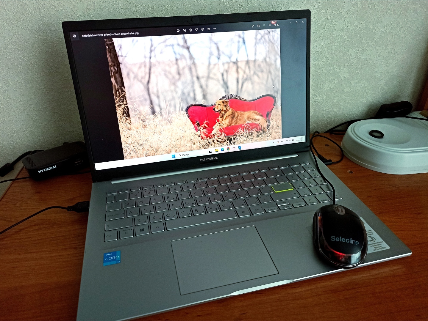 Купили онлайн-курс и передумали учиться – можно ли вернуть деньги? Мой опыт