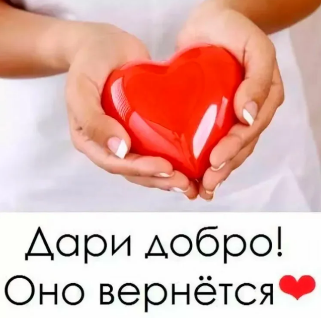 Как правильно вернуть найденный паспорт и банковские карты владельцу? Личный опыт: плюсы, минусы, риски