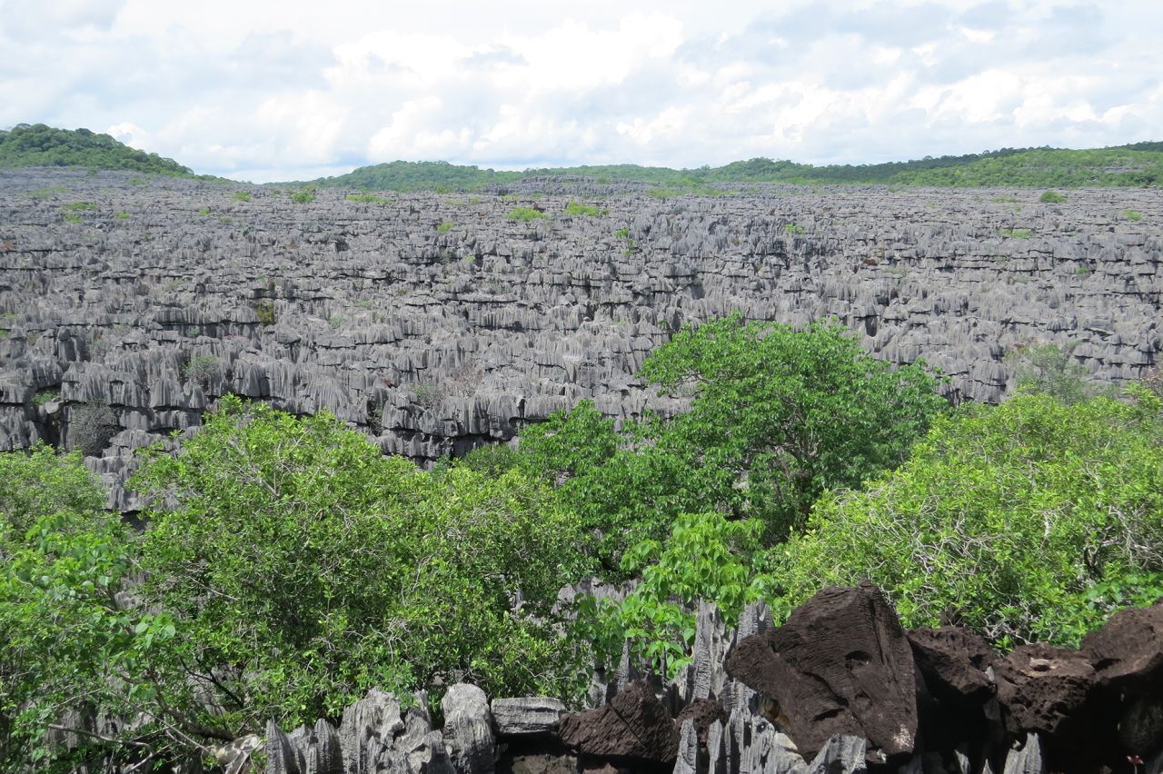 Около 50 мировых сокровищ могут получить статус Всемирного наследия ЮНЕСКО. Вот что в списке
