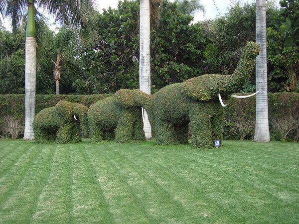 Тенерифе. Loro-Park. (Мои путешествия). День 5