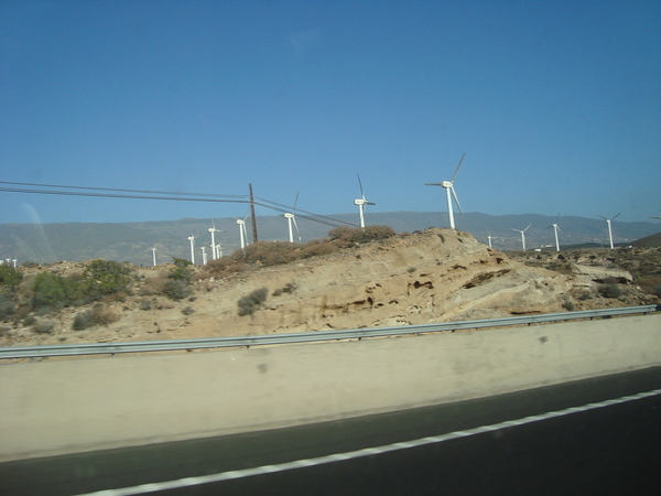 Тенерифе. Loro-Park. (Мои путешествия). День 5