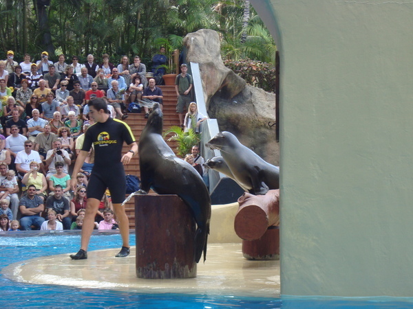 Тенерифе. Loro-Park. (Мои путешествия). День 5