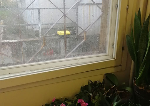 Сколько мне ещё торчать «за решёткой в темнице сырой»?..