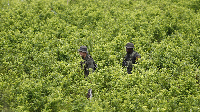 Кокаин был нашим главным экспортом - президент Колумбии