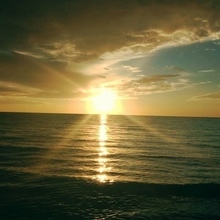 Дмитрий, г. Краснодар