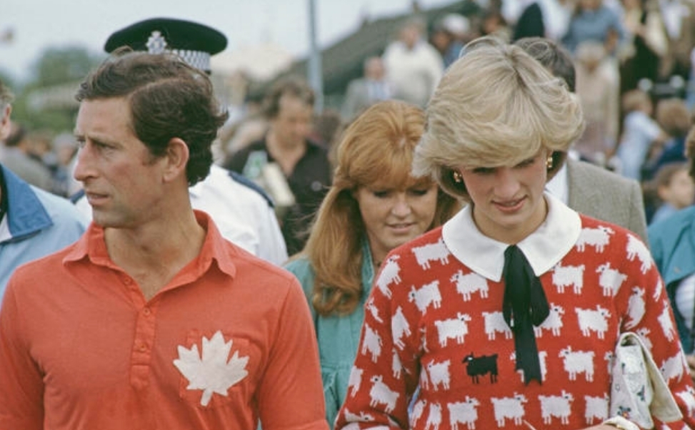 Свитер принцессы Дианы с черной овцой продан на аукционе за 1,143 миллиона долларов