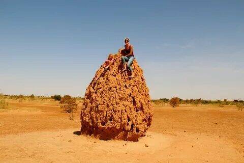 Творения природы - муравейники Африки.