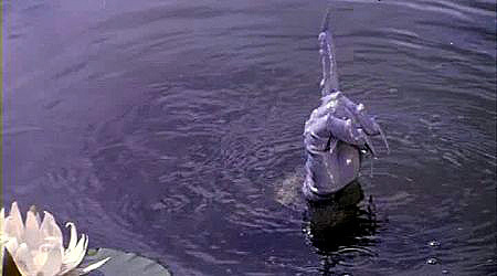 Кто в «Билайне» сливал мои паспортные данные?