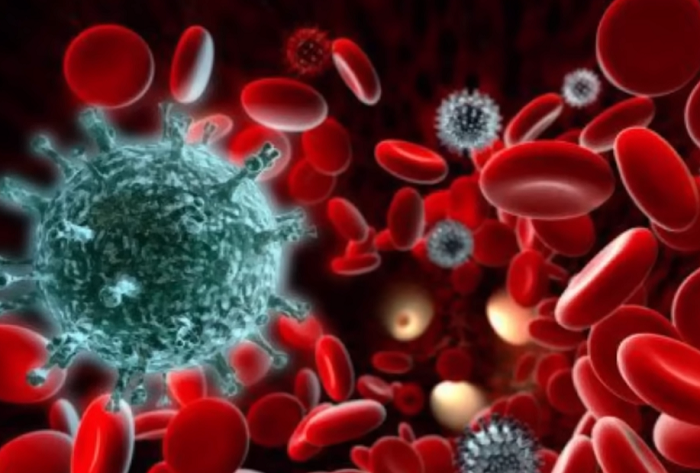 Ковид возвращается? Мир накрывает новый свирепый штамм коронавируса «Pirola». Чем он опасен?