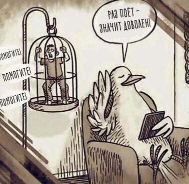 Закрыть дельфинарии, окультурить цирк. Самый правильный зоопарк – в Китае