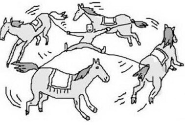 Закрыть дельфинарии, окультурить цирк. Самый правильный зоопарк – в Китае