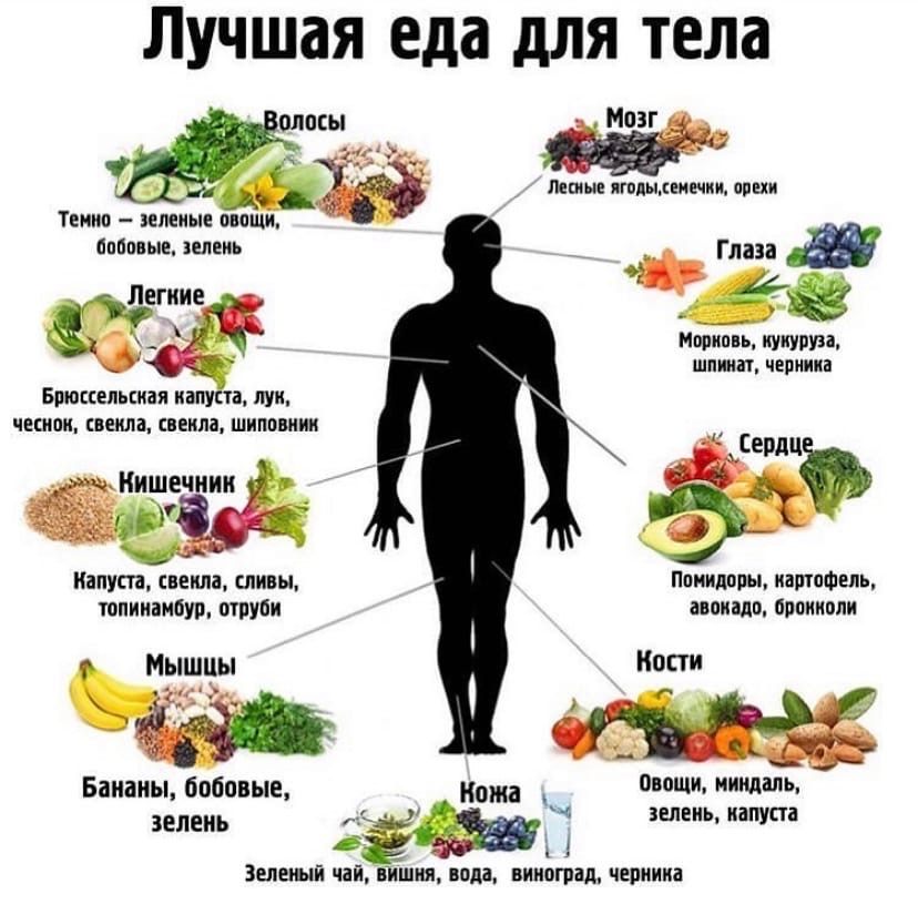 Теле продукт. Список полезных продуктов питания. Самые полезные продукты. Самые полезные продукты для тела. Список самых полезных продуктов.