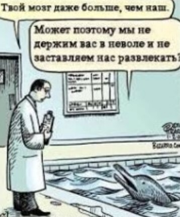 Закрыть дельфинарии, окультурить цирк. Самый правильный зоопарк – в Китае