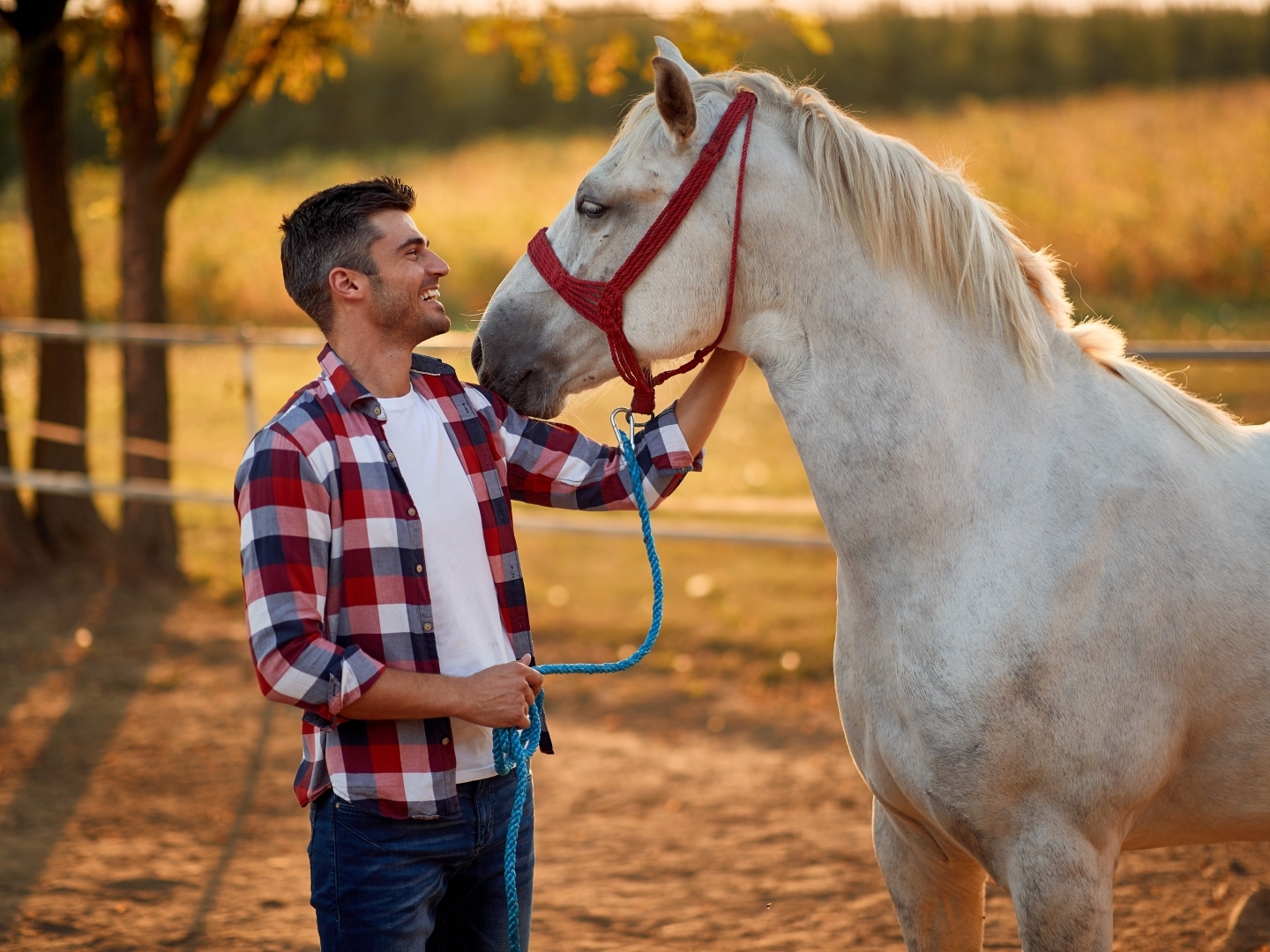 Как заработать на собственном хобби? Топ-3 простых шага