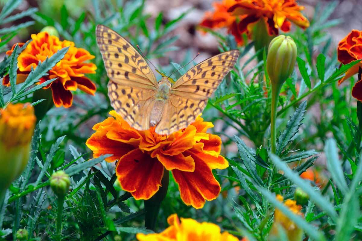 Довольны ли вы жизнью?