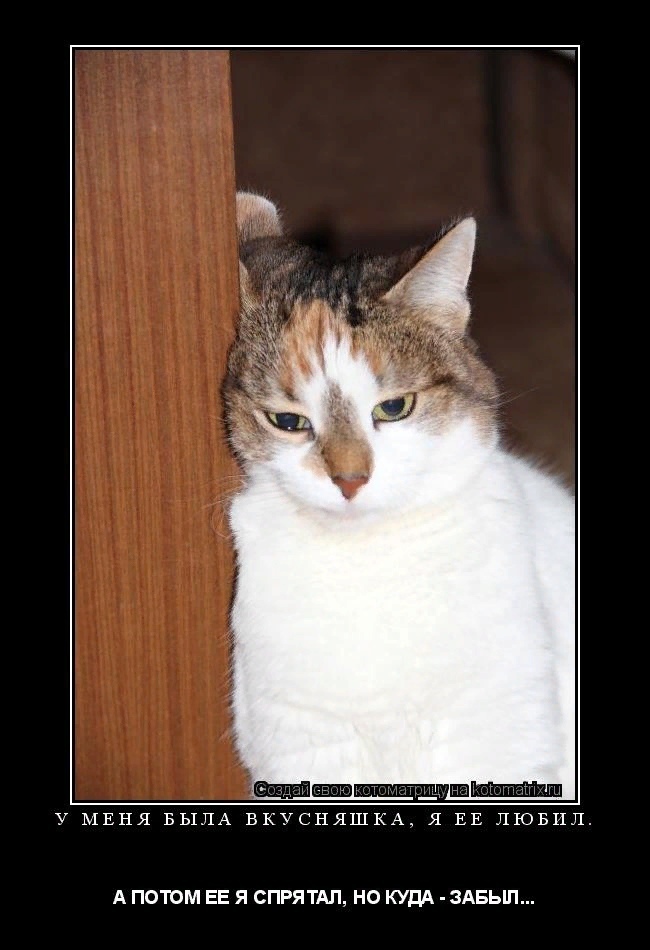 Без кошек жить нельзя на свете, нет! ( часть 2).