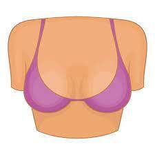 Самые сексуальные женские части тела по версии американских мужчин от 25 до 50 лет