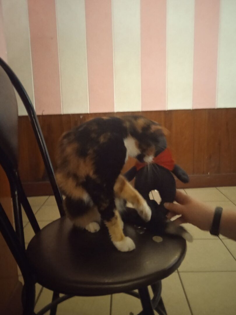 Что случилось с памятником букве Ё в Петербурге?