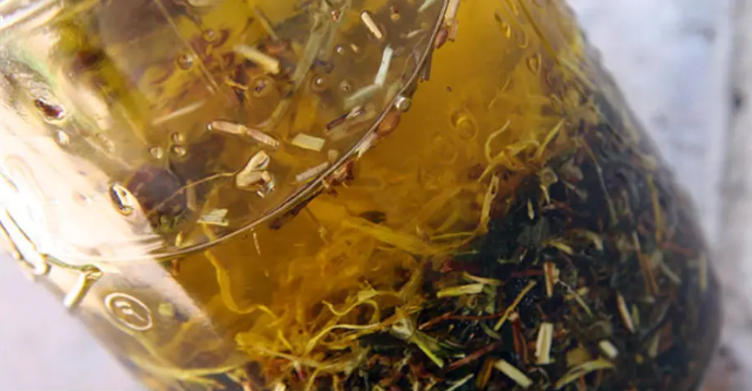 Почему вам следует использовать масло Thieves каждый день?