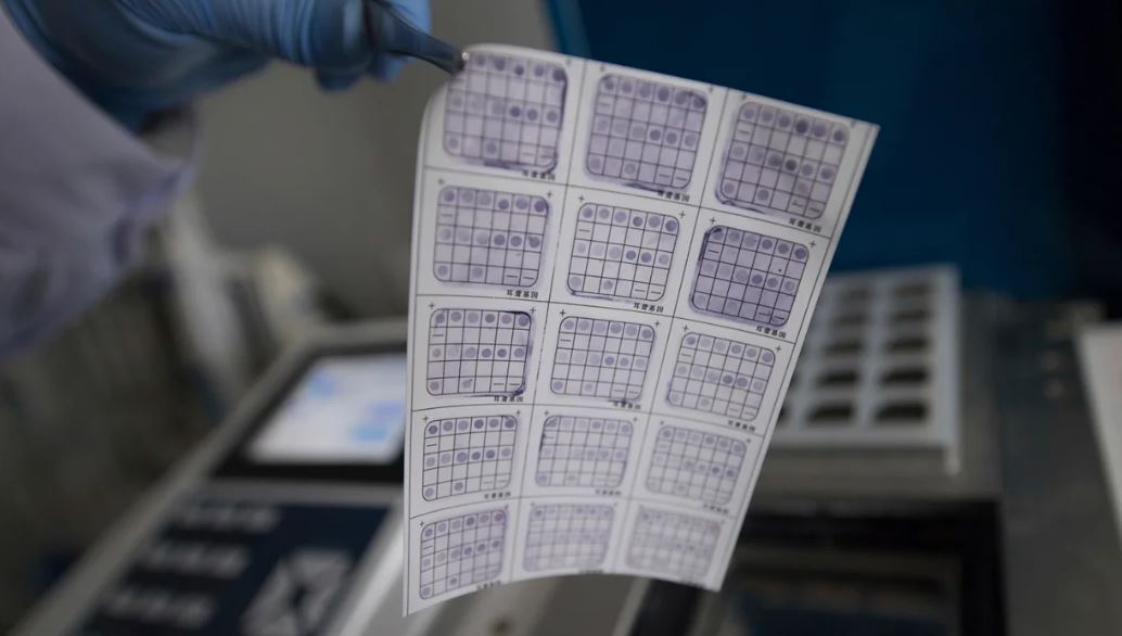 Китай сидит на золотой жиле генетических данных – и не хочет делиться.