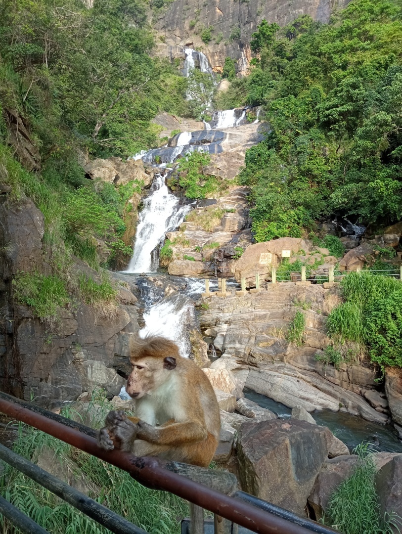 Абхазия. Сухум. Продолжение. Часть 3