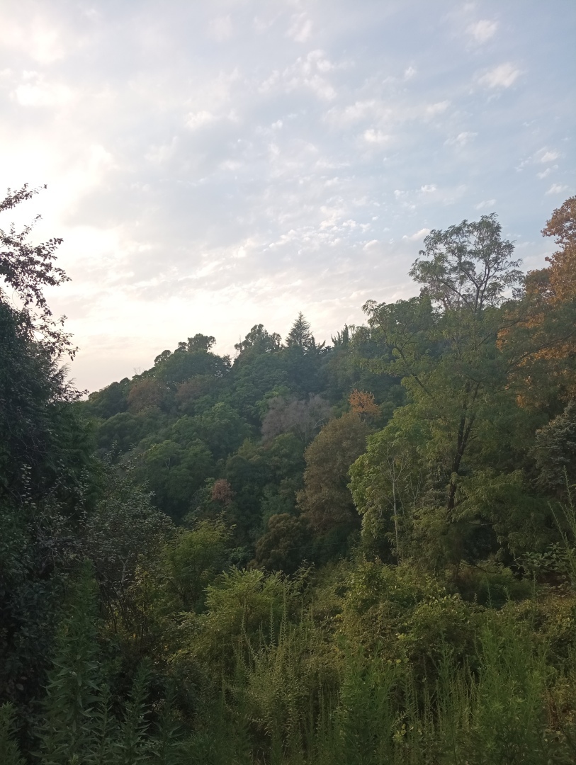 Абхазия. Сухум. Продолжение. Часть 3