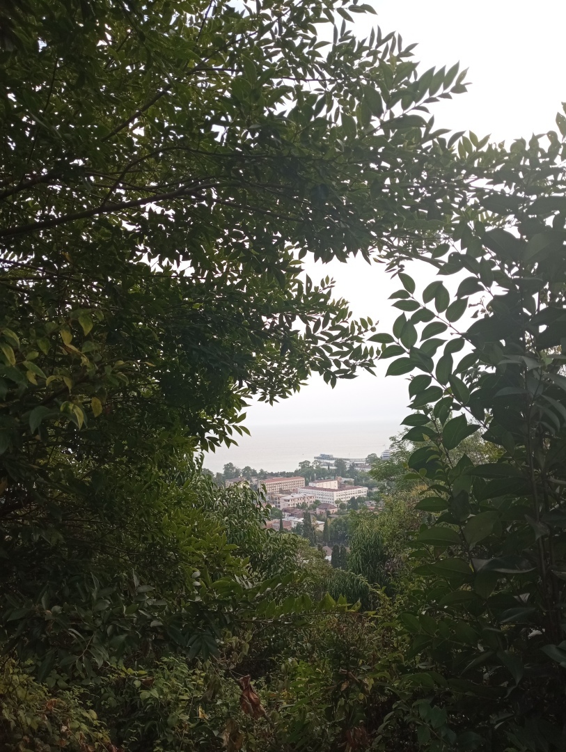 Абхазия. Сухум. Продолжение. Часть 3