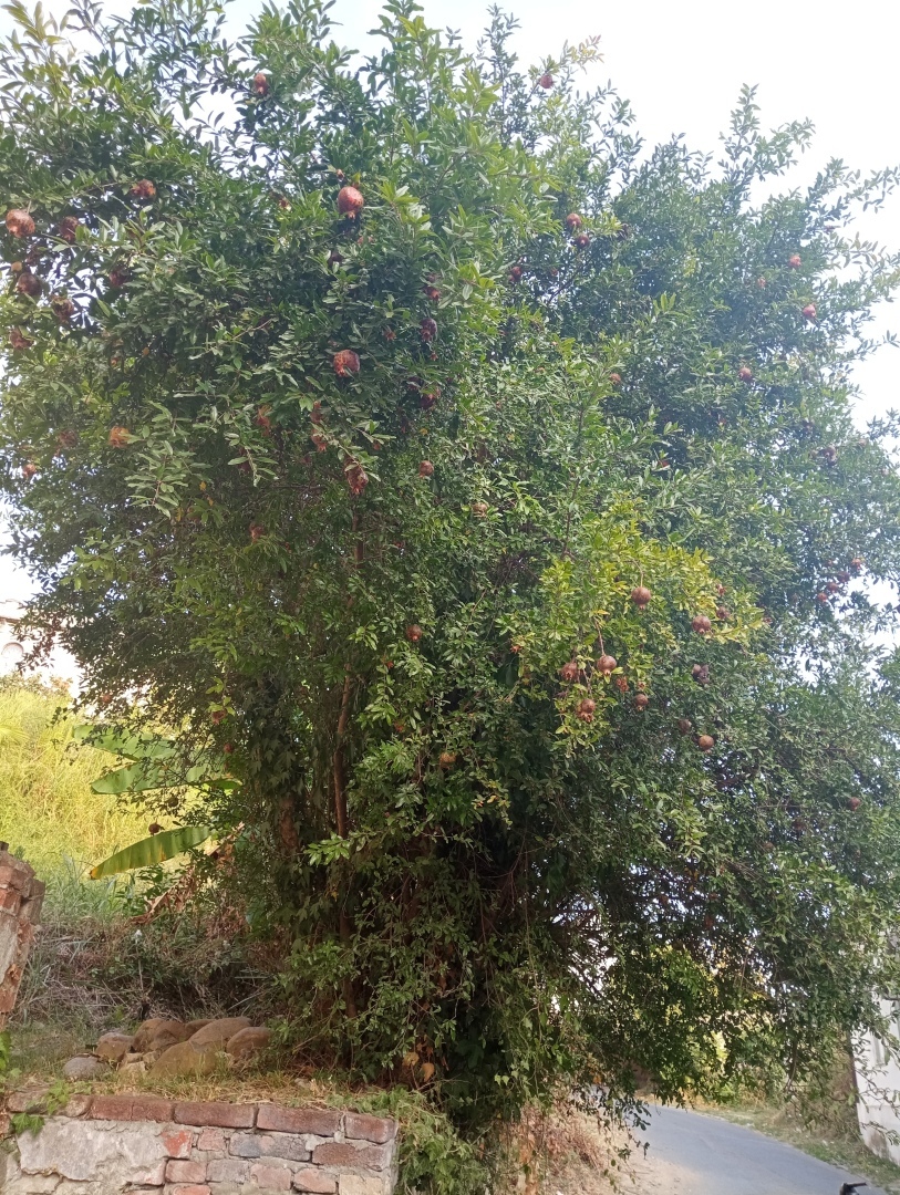 Абхазия. Сухум. Продолжение. Часть 3