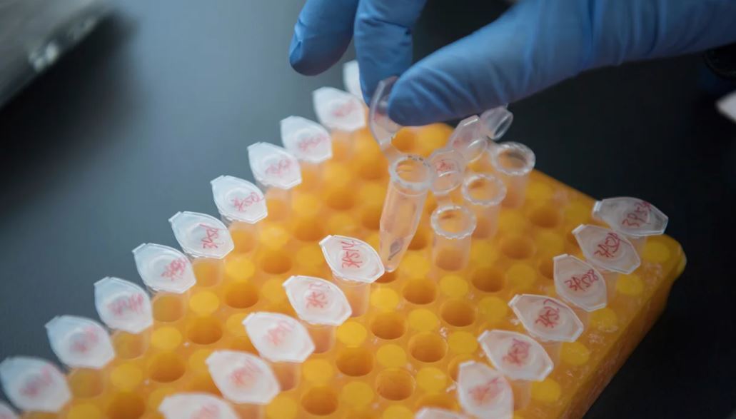 Китай сидит на золотой жиле генетических данных – и не хочет делиться.