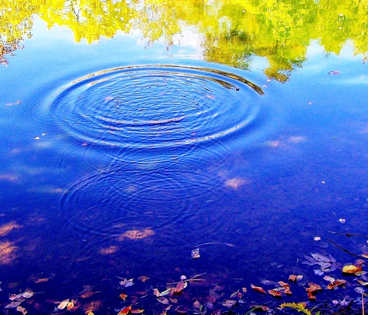 Зачем добро бросать в воду?