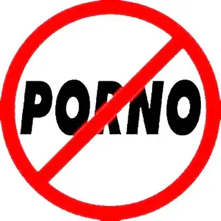 Нужно ли защищать детей от влияния порносайтов?