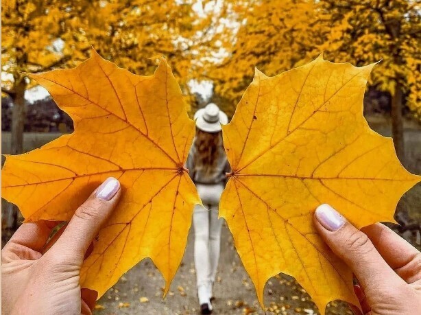 Дофамин: как повысить уровень счастья?