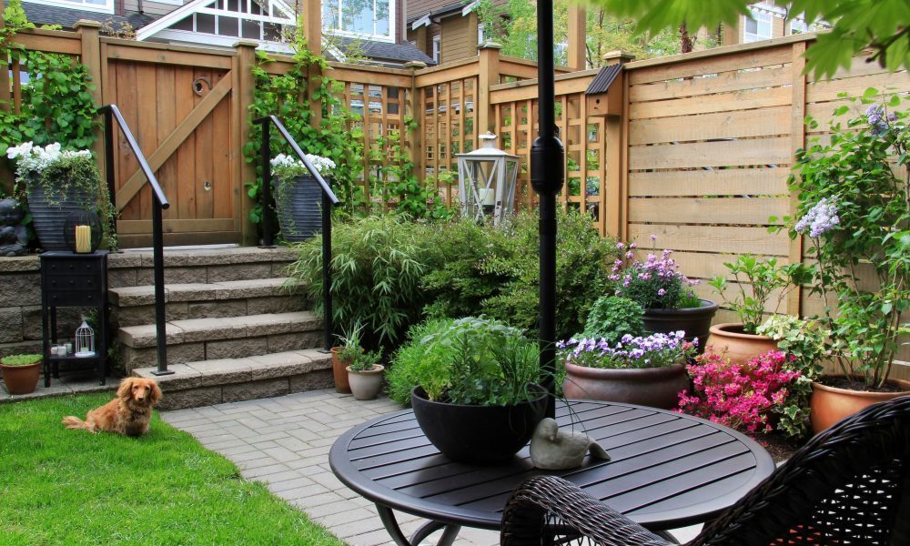 Ландшафтный Дизайн Дачного Участка: Идеи и Советы