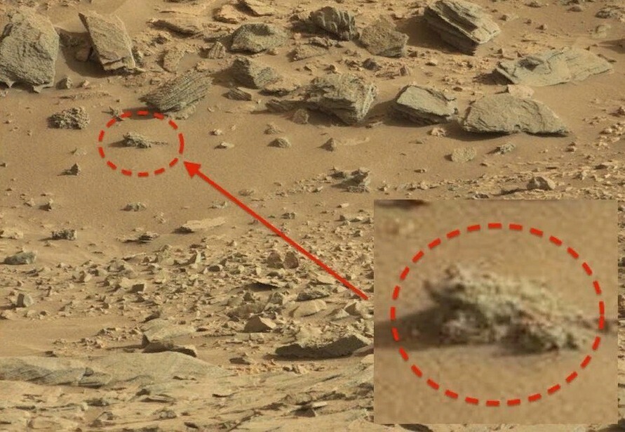 Марс: неуловимая Красная планета и поиски человечества