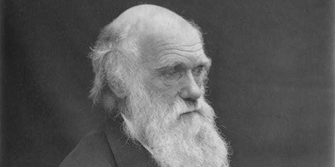 Что убило Чарльза Дарвина?