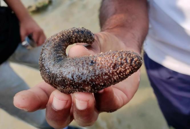 Япония, что мы о ней знаем.