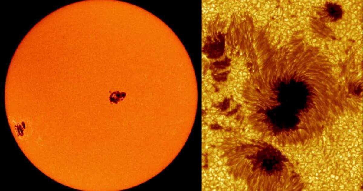 Источник жизни-Солнце!