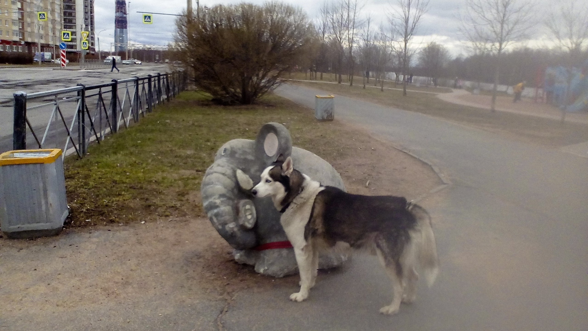 Уберите свою собаку, или Не делайте свою фобию моей проблемой