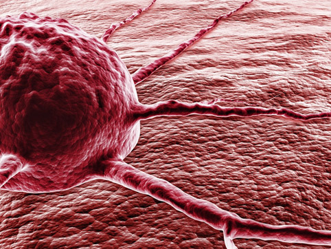 Настоящая причина образования опухолей