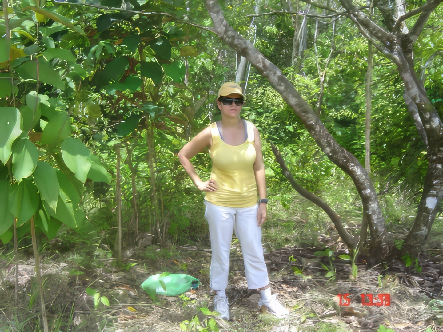 Встать, суд идёт... Часть 8. Перебираемся к океану. Онкологическое отступление