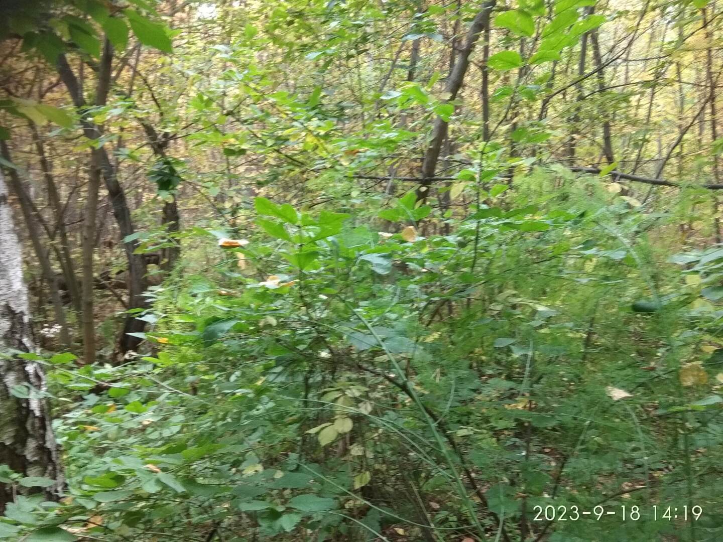 Юридическая консультация 2023 09 27