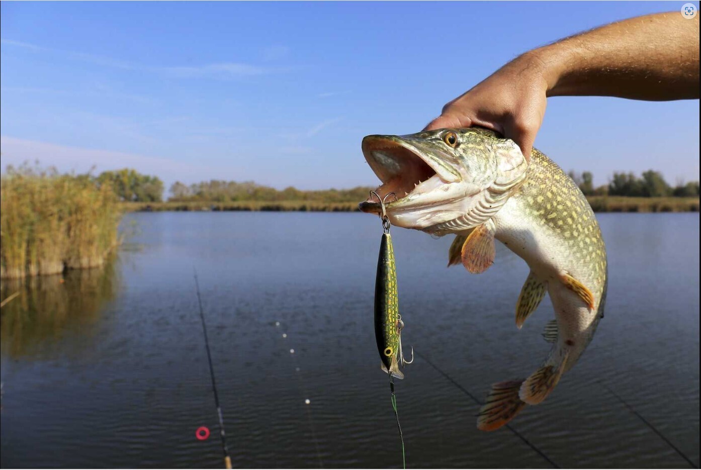Охота на щуку: секреты успешной рыбалки