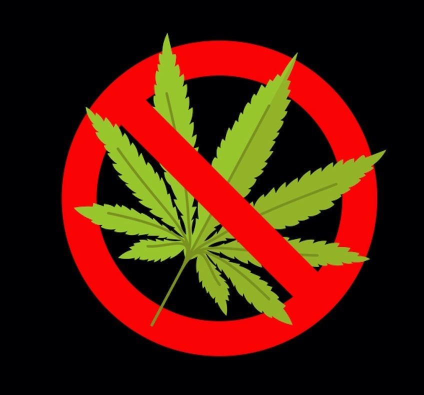 Влияние медицинской марихуаны на здоровье и общество.