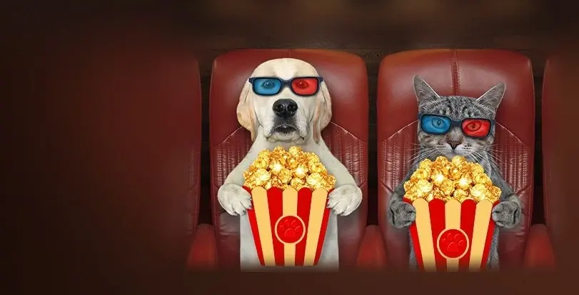 Действующий промокод PREMIER Сентябрь 2023 год