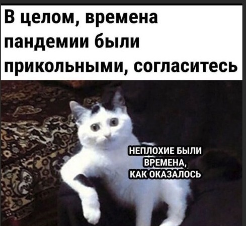 Коронавирус сейчас: что с пандемией?