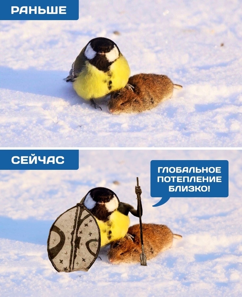 Почему так сильно дорожают продукты в 2023?