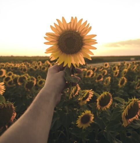 Секрет долголетия, доступный каждому