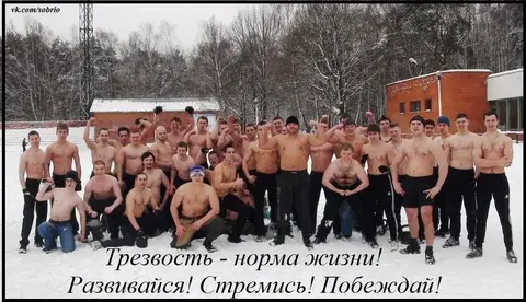 Польза или вред?