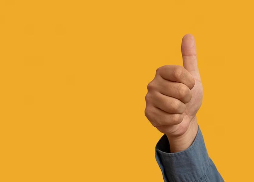 5 полезных функций на Госуслугах: полезная информация